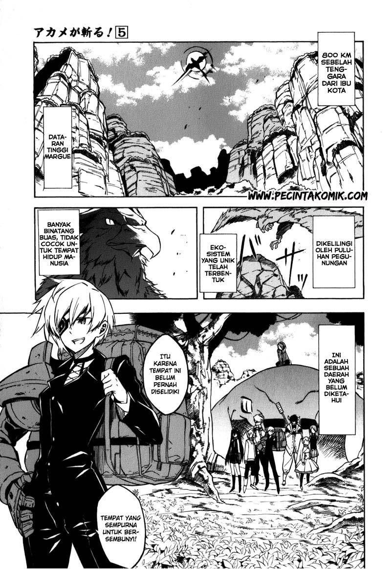 Akame ga Kill! Chapter 22 - halaman 4