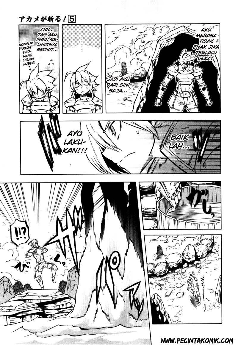 Akame ga Kill! Chapter 23 - halaman 29