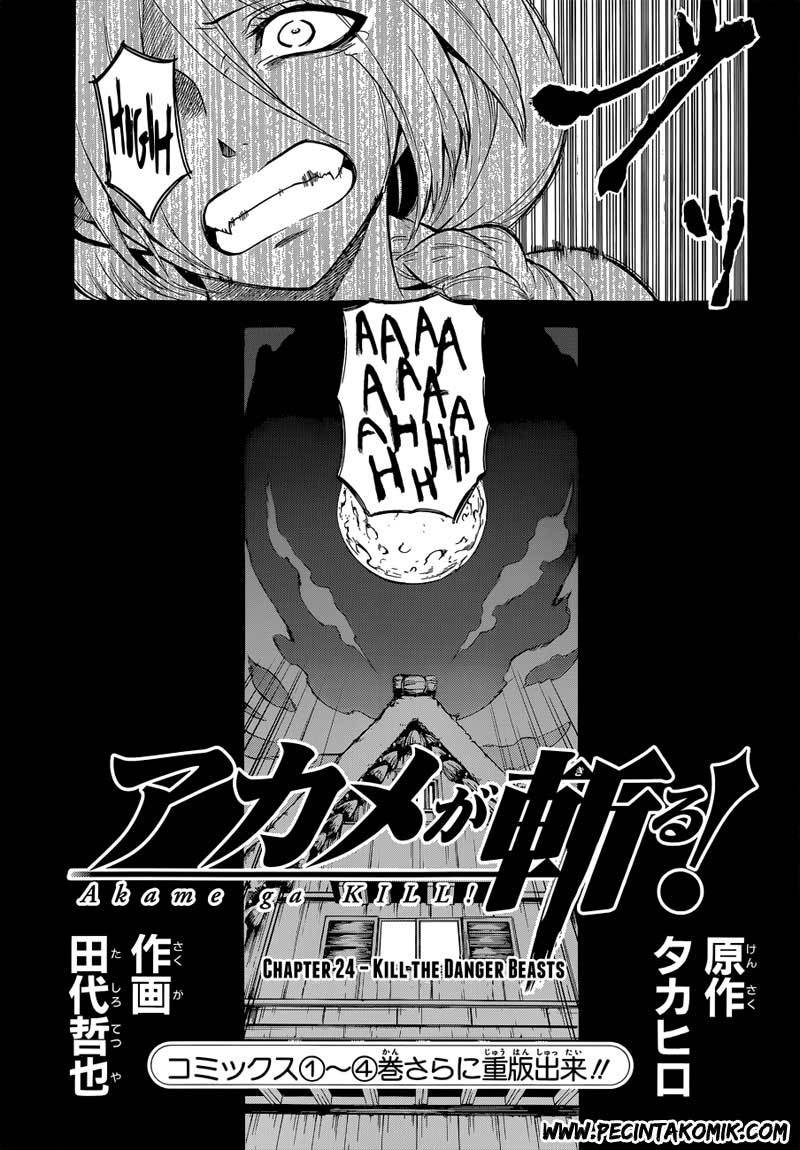 Akame ga Kill! Chapter 24 - halaman 4