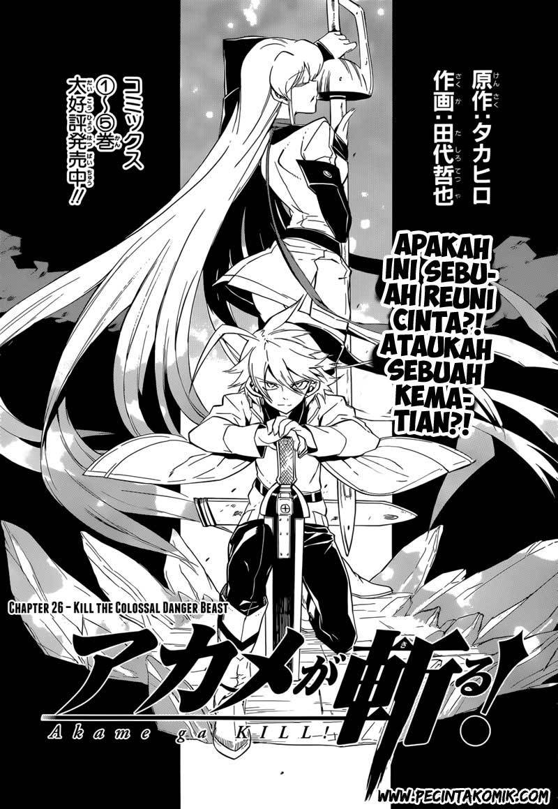 Akame ga Kill! Chapter 26 - halaman 4