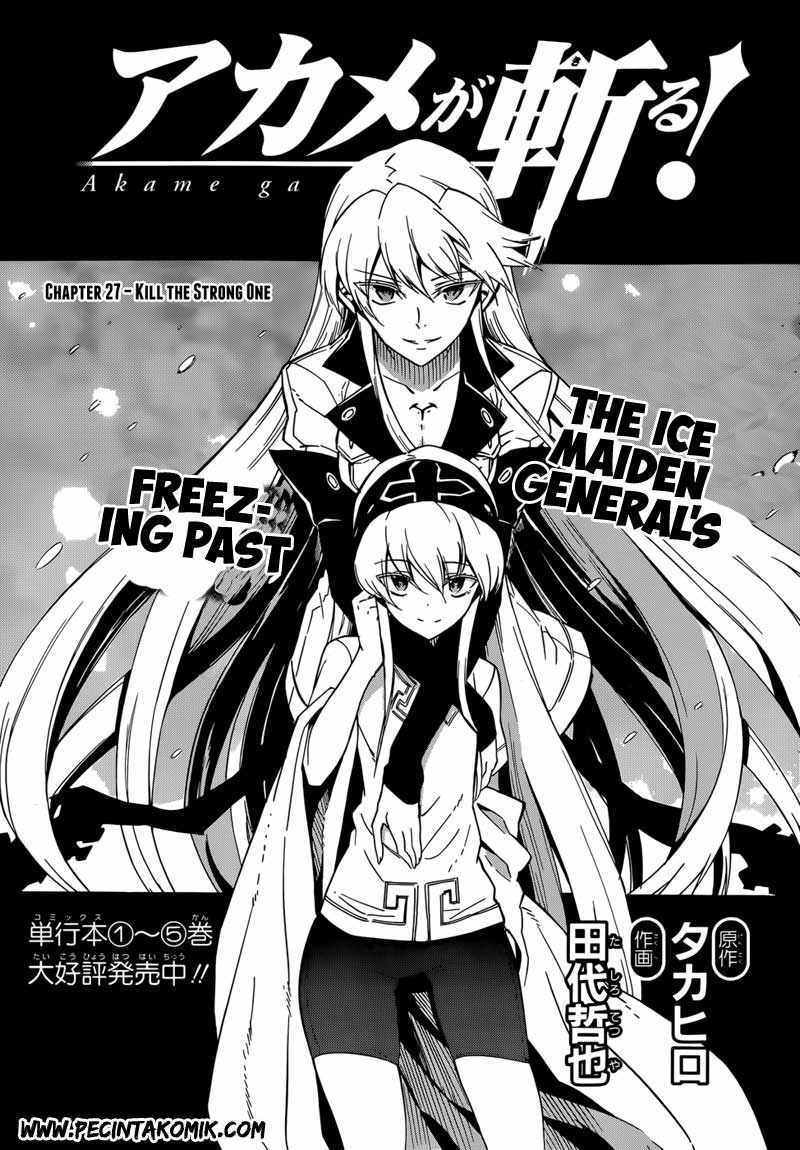 Akame ga Kill! Chapter 27 - halaman 4