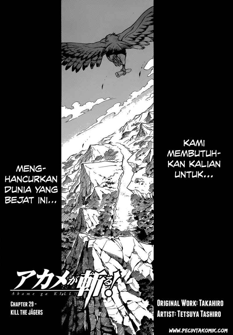 Akame ga Kill! Chapter 29 - halaman 4