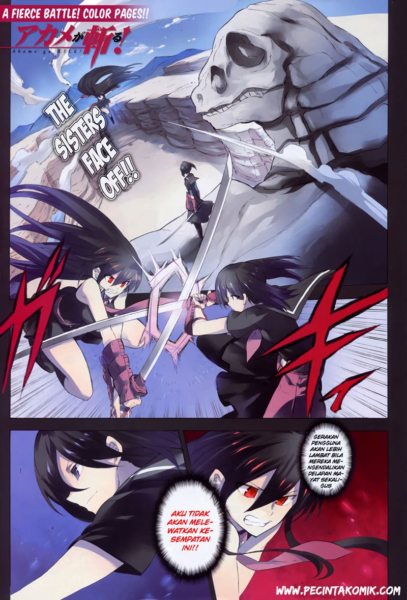 Akame ga Kill! Chapter 30 - halaman 3
