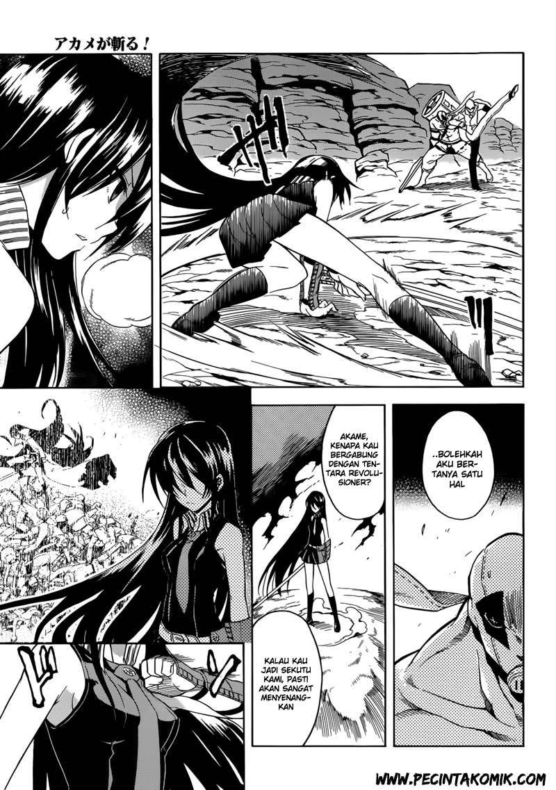 Akame ga Kill! Chapter 31 - halaman 10