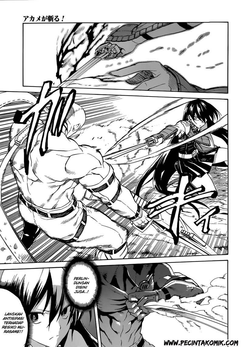 Akame ga Kill! Chapter 31 - halaman 8