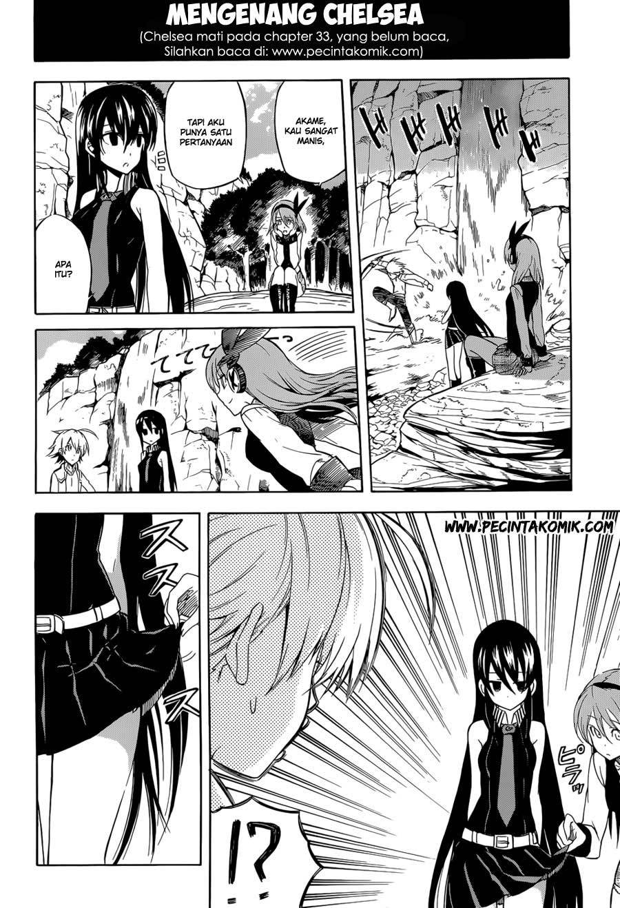 Akame ga Kill! Chapter 33 - halaman 11