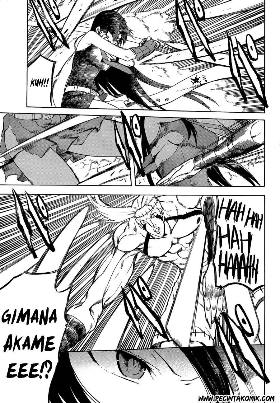 Akame ga Kill! Chapter 36 - halaman 32
