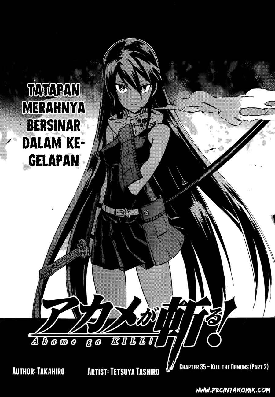 Akame ga Kill! Chapter 36 - halaman 5
