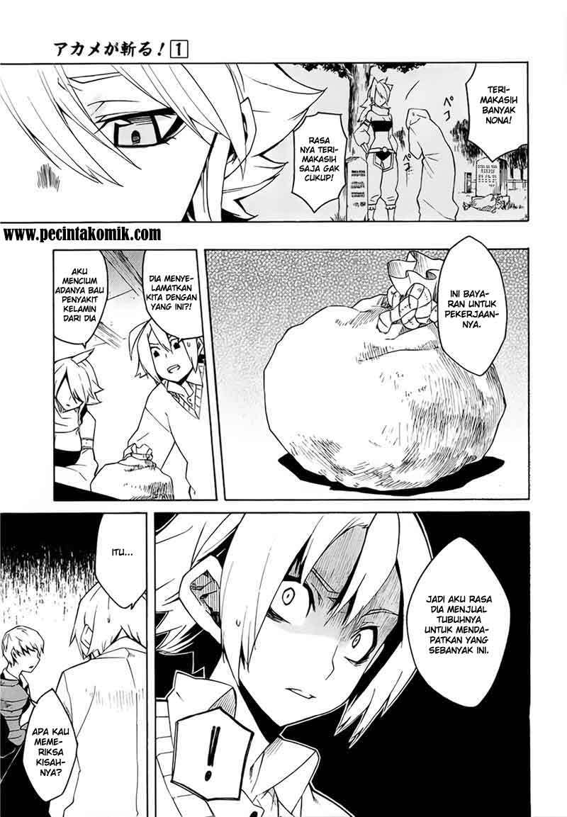 Akame ga Kill! Chapter 4 - halaman 14