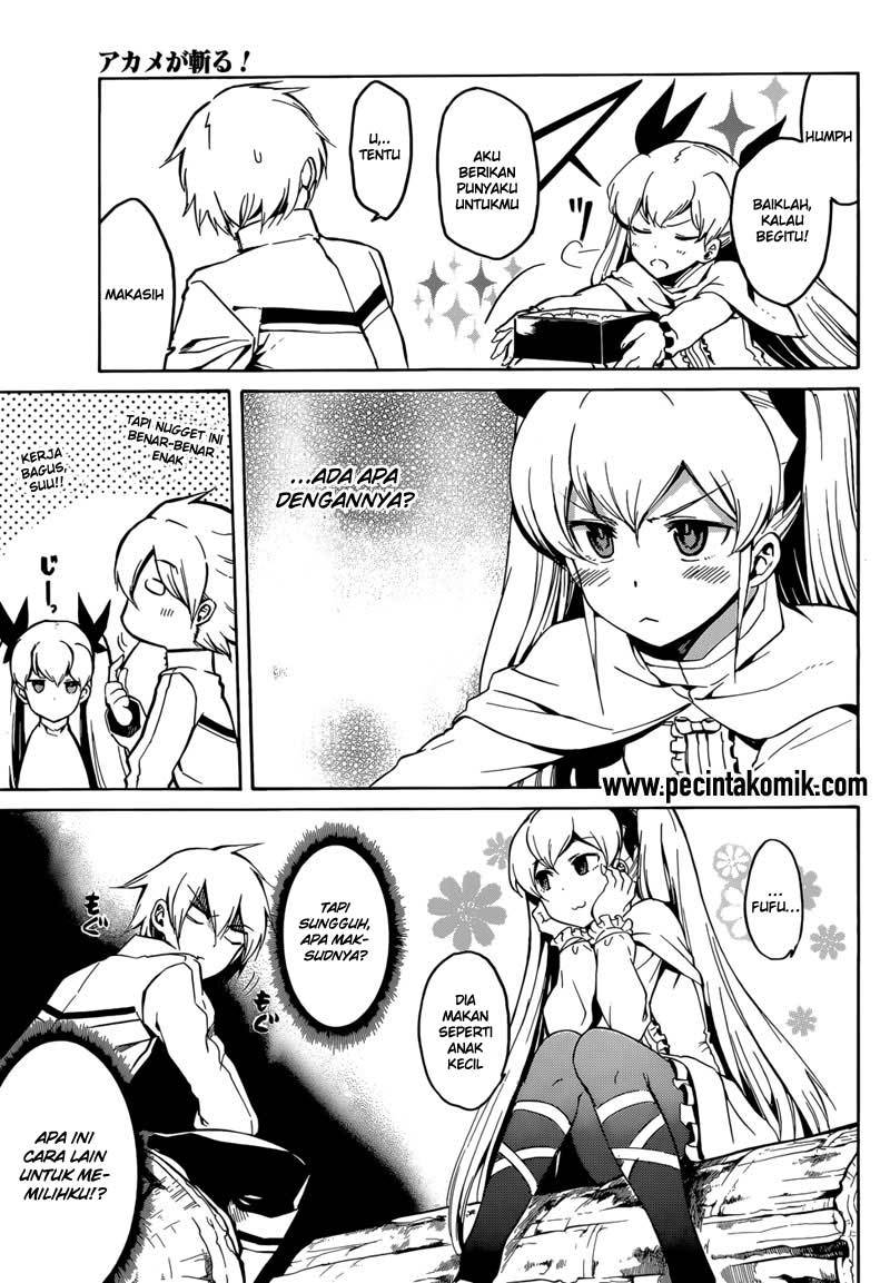 Akame ga Kill! Chapter 40 - halaman 14