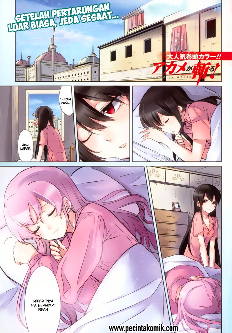 Akame ga Kill! Chapter 40 - halaman 2