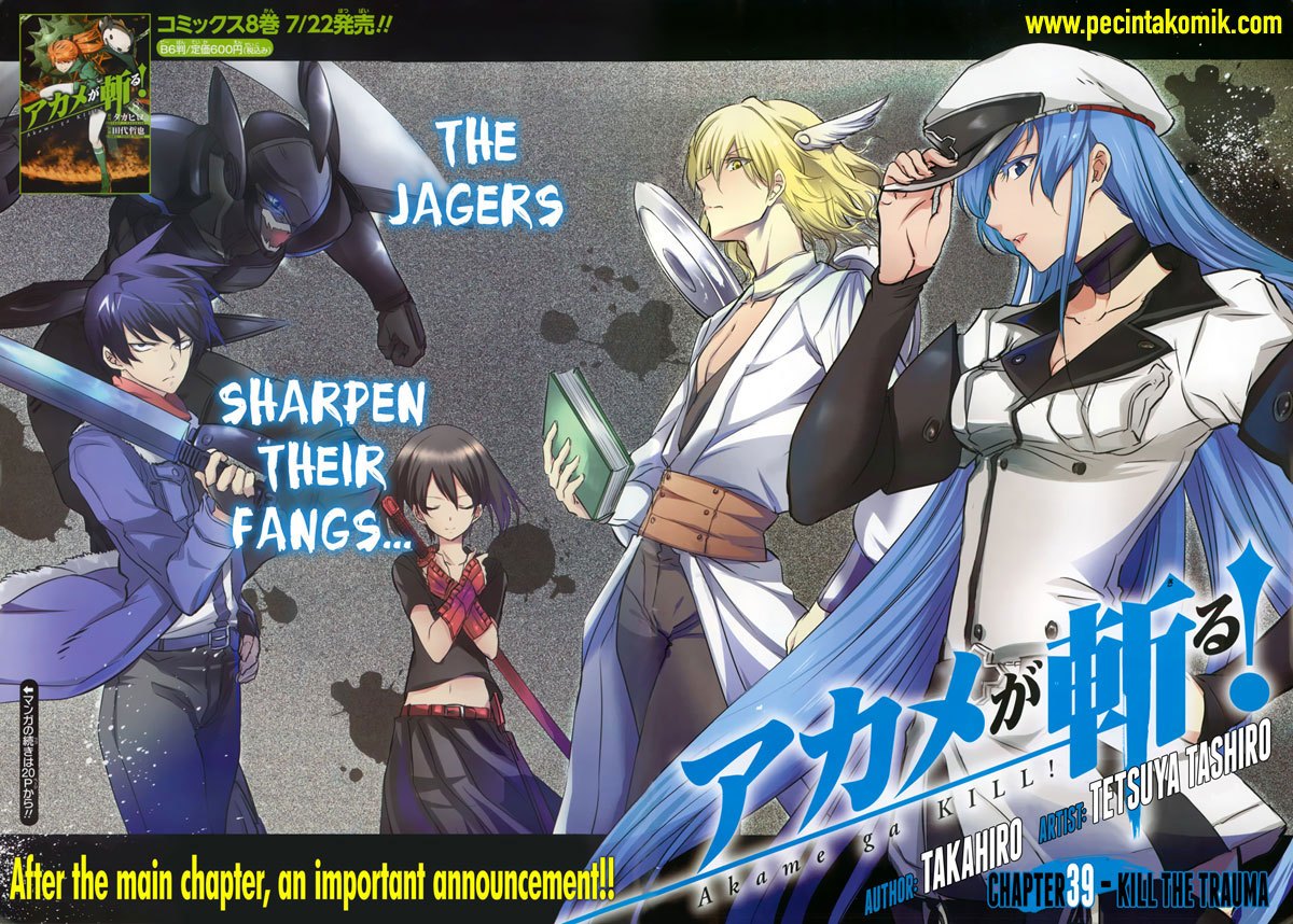 Akame ga Kill! Chapter 40 - halaman 3
