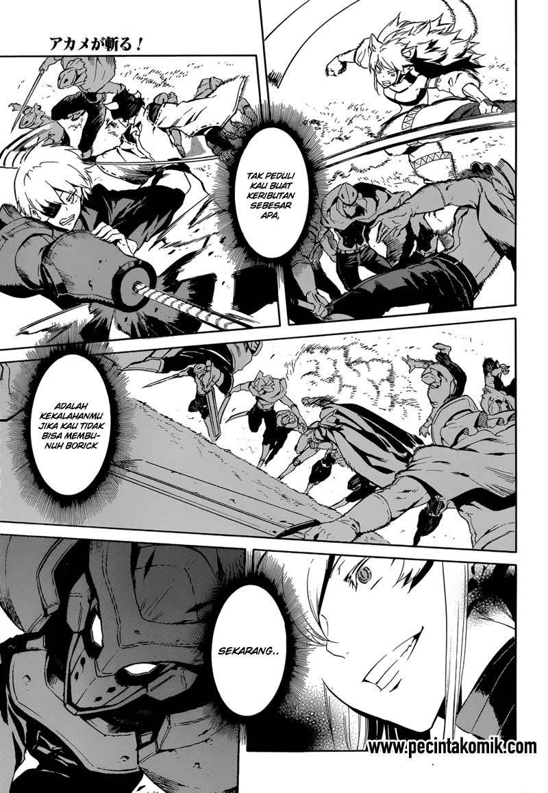 Akame ga Kill! Chapter 41 - halaman 32