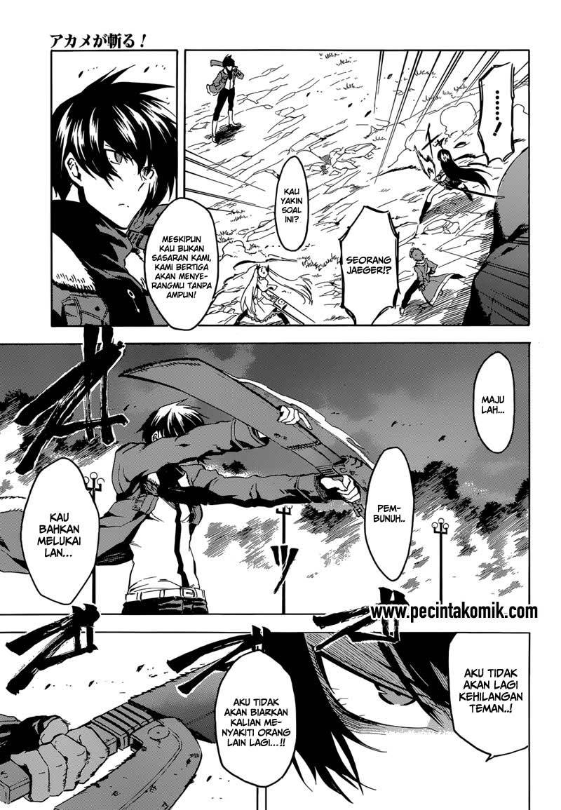 Akame ga Kill! Chapter 42 - halaman 14