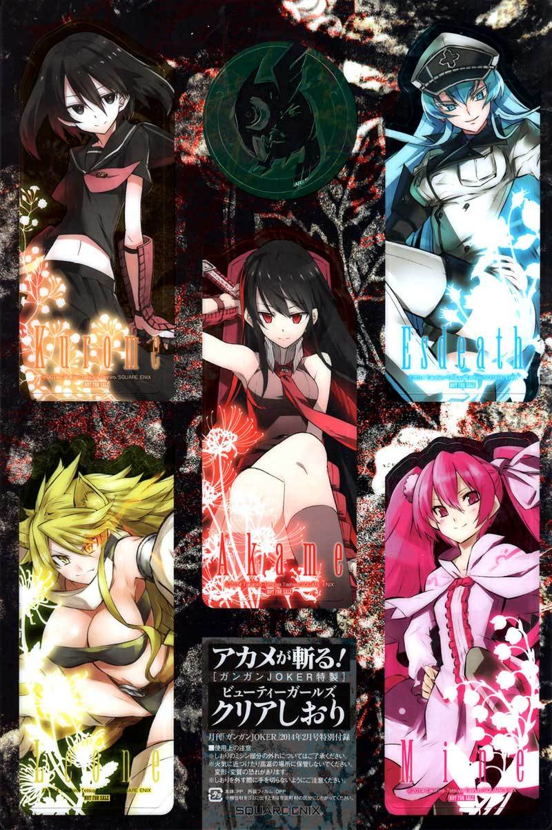 Akame ga Kill! Chapter 47 - halaman 2