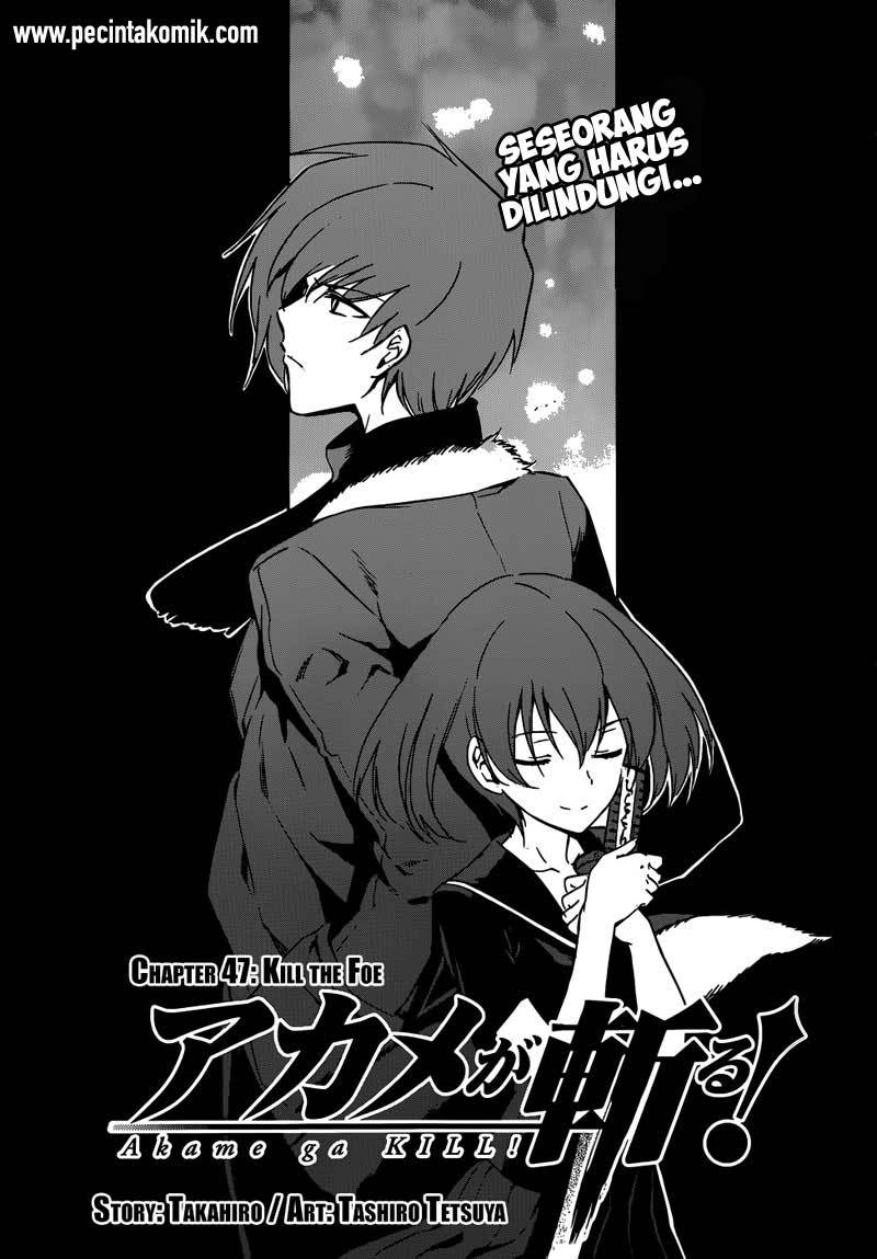 Akame ga Kill! Chapter 48 - halaman 4