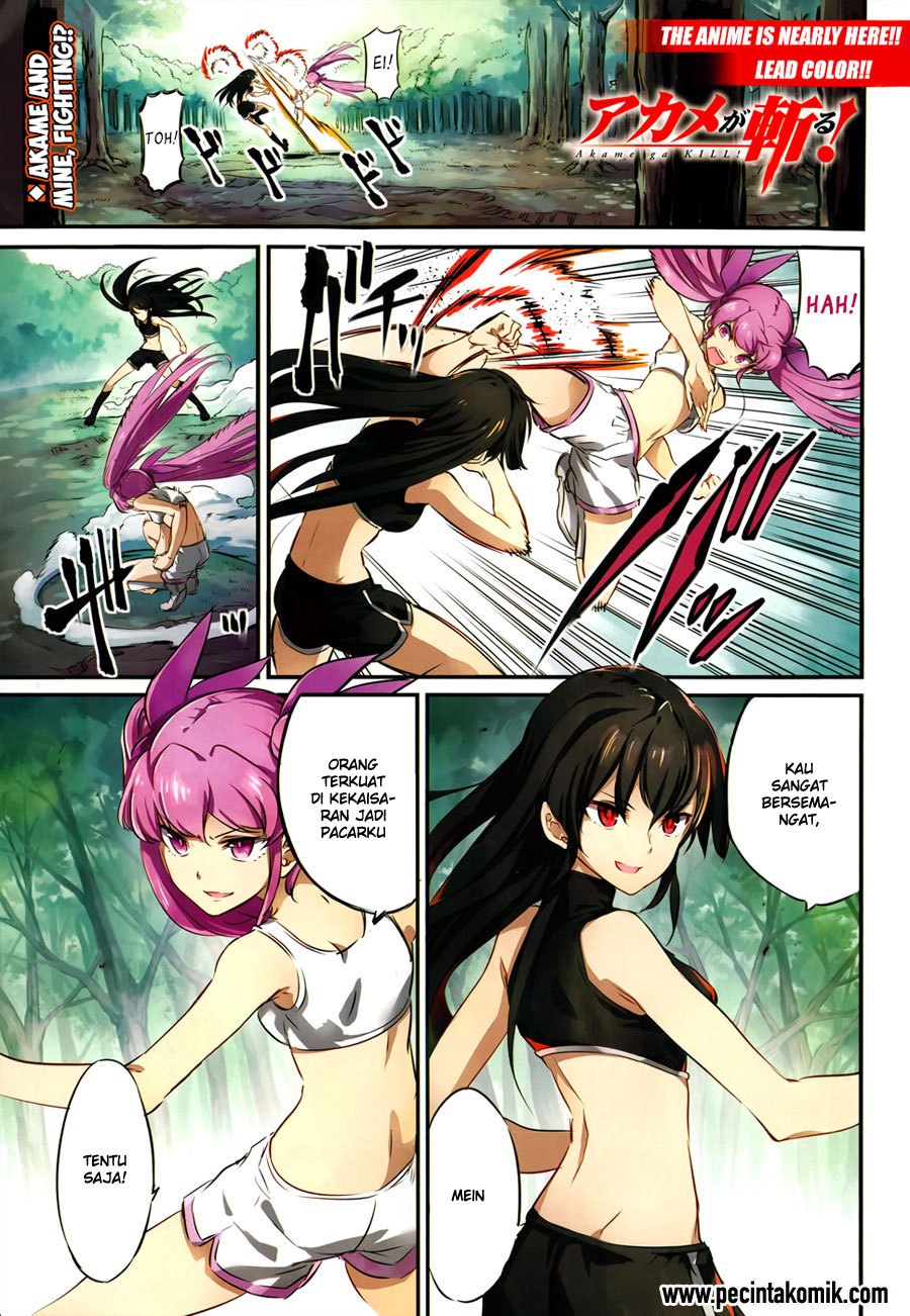 Akame ga Kill! Chapter 51 - halaman 10