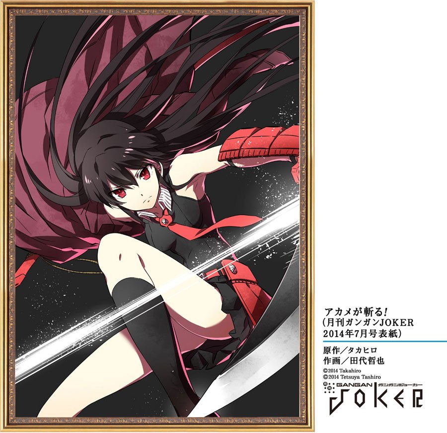 Akame ga Kill! Chapter 51 - halaman 7