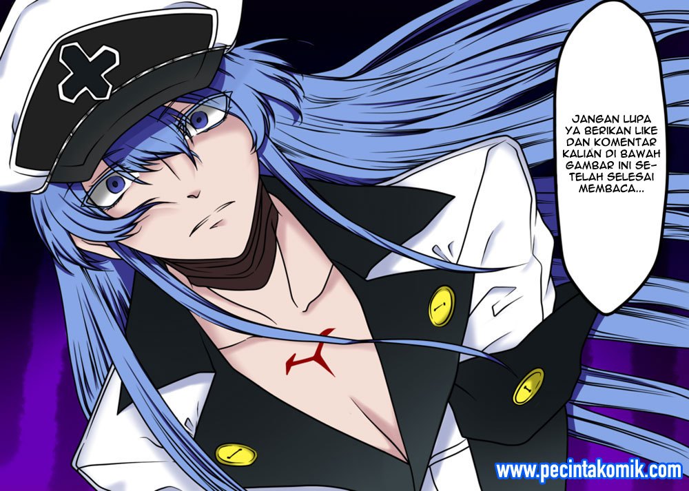 Akame ga Kill! Chapter 52.1 - halaman 42