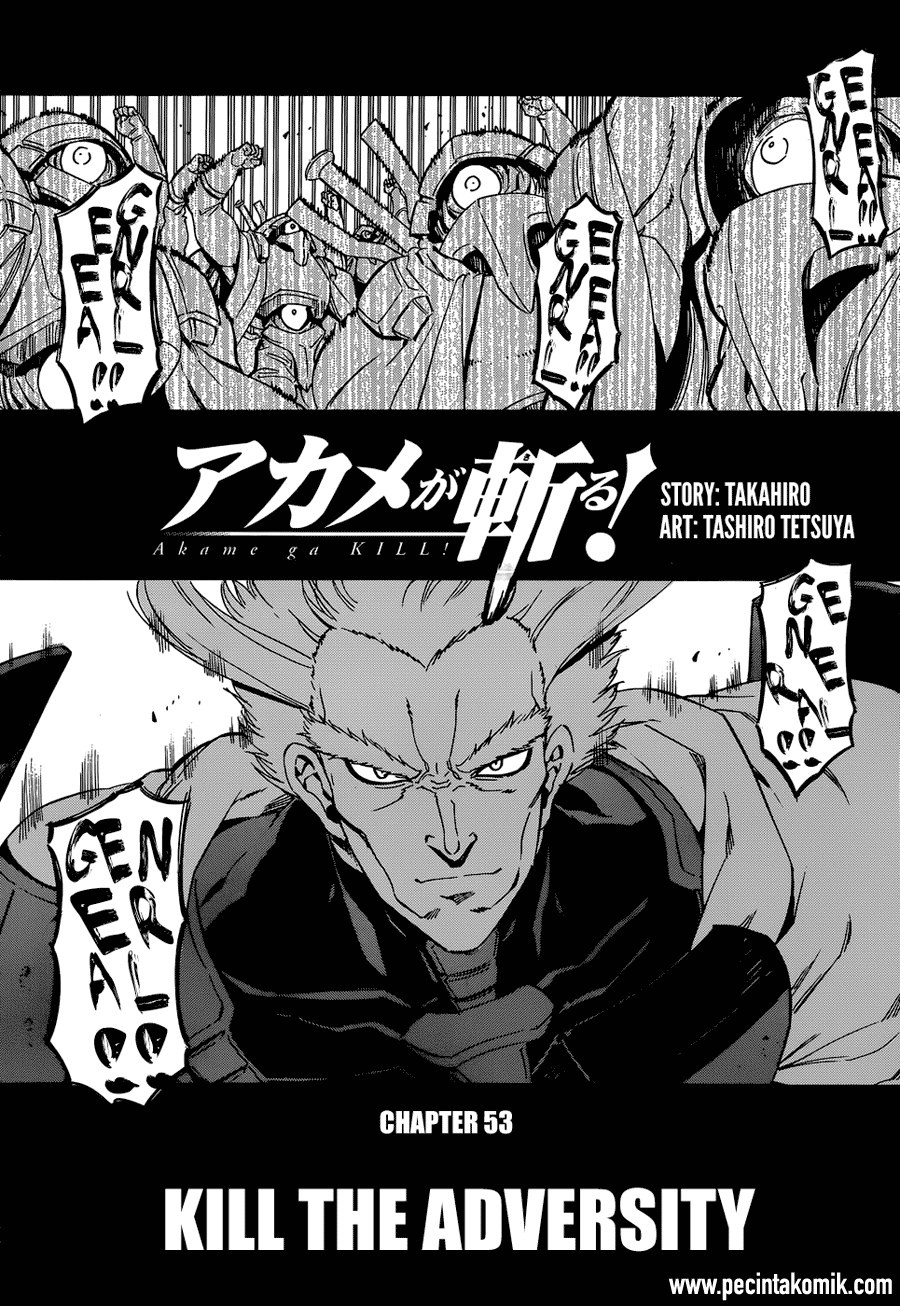 Akame ga Kill! Chapter 53.2 - halaman 5