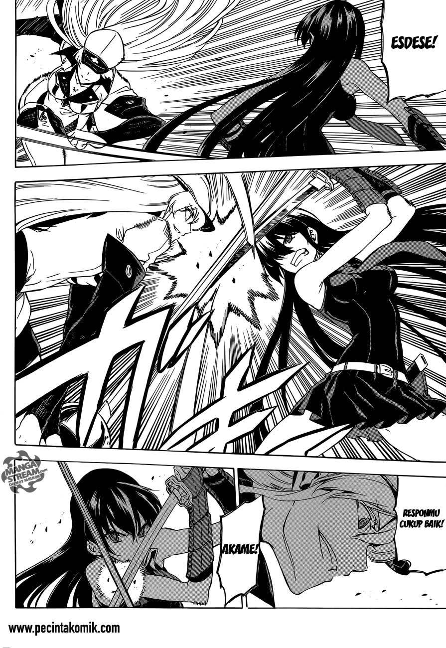 Akame ga Kill! Chapter 55 - halaman 8