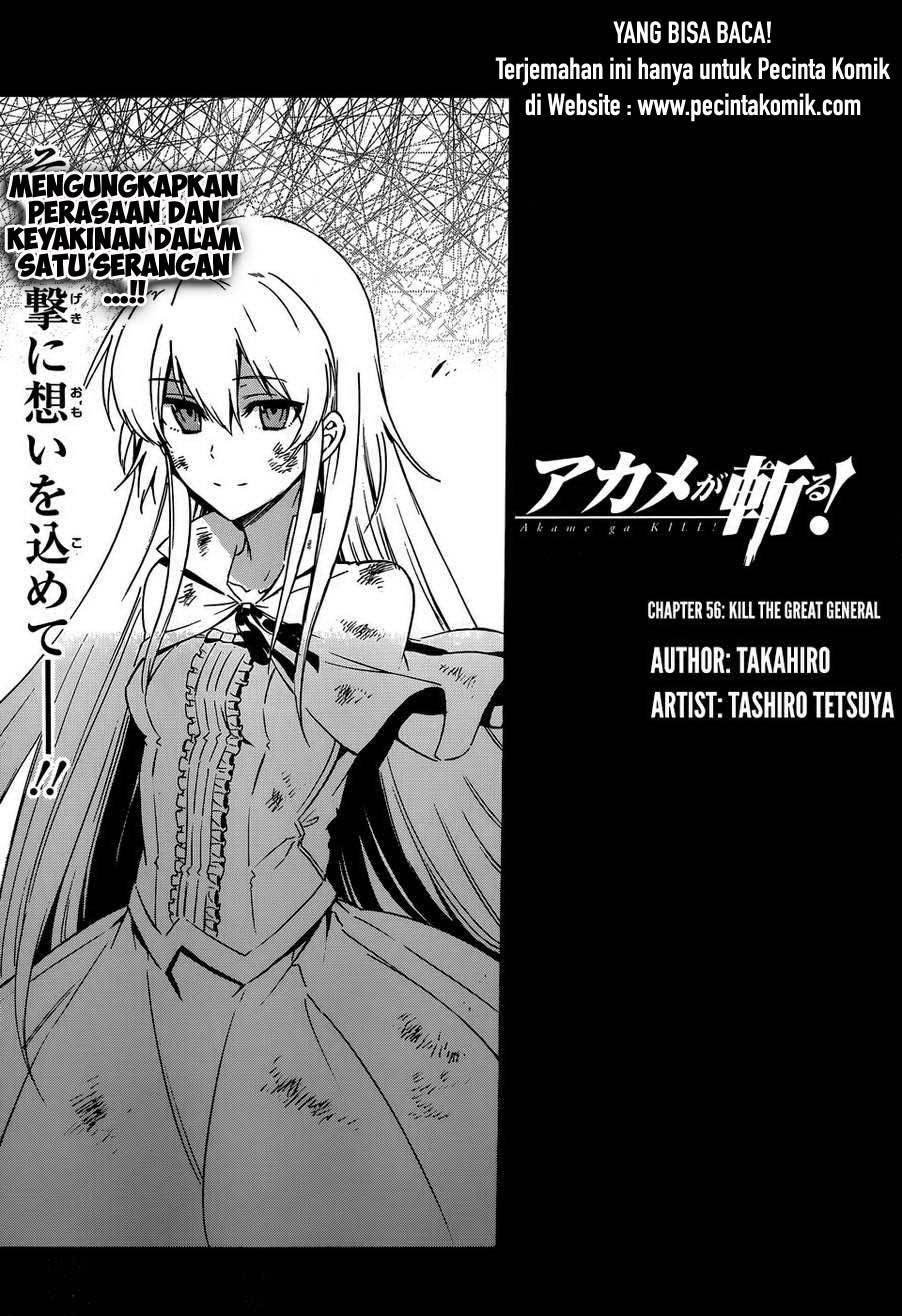 Akame ga Kill! Chapter 56 - halaman 19
