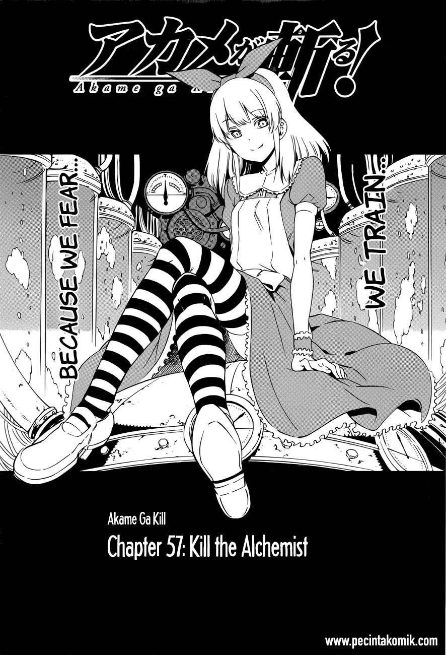 Akame ga Kill! Chapter 57 - halaman 3