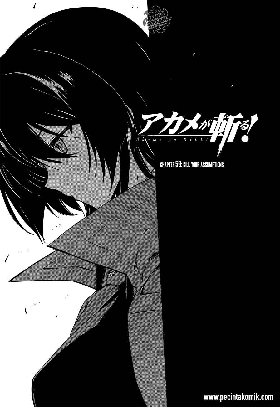 Akame ga Kill! Chapter 59 - halaman 2