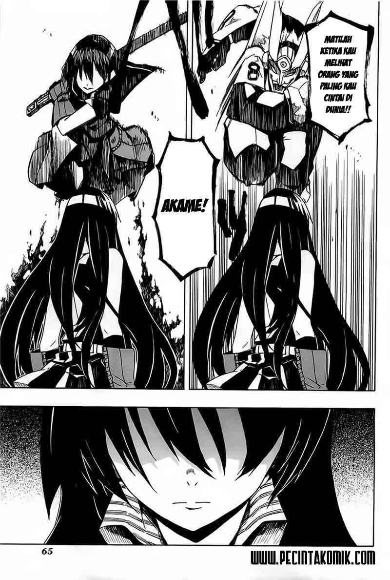 Akame ga Kill! Chapter 6 - halaman 30