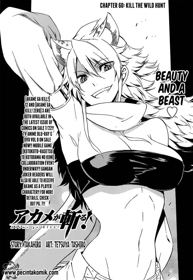 Akame ga Kill! Chapter 60 - halaman 2