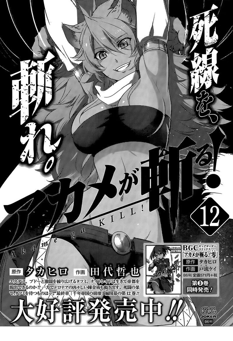 Akame ga Kill! Chapter 62 - halaman 49