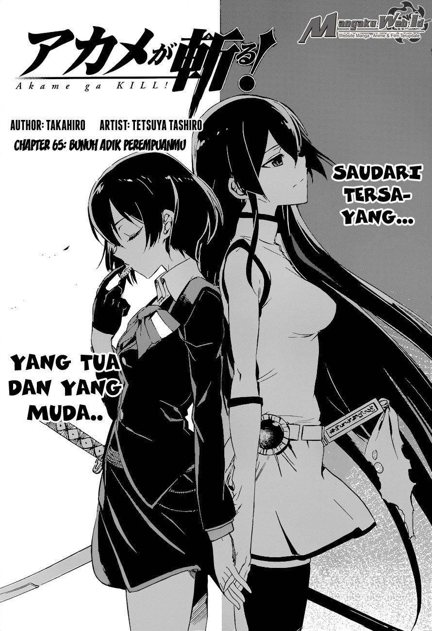Akame ga Kill! Chapter 65 - halaman 4