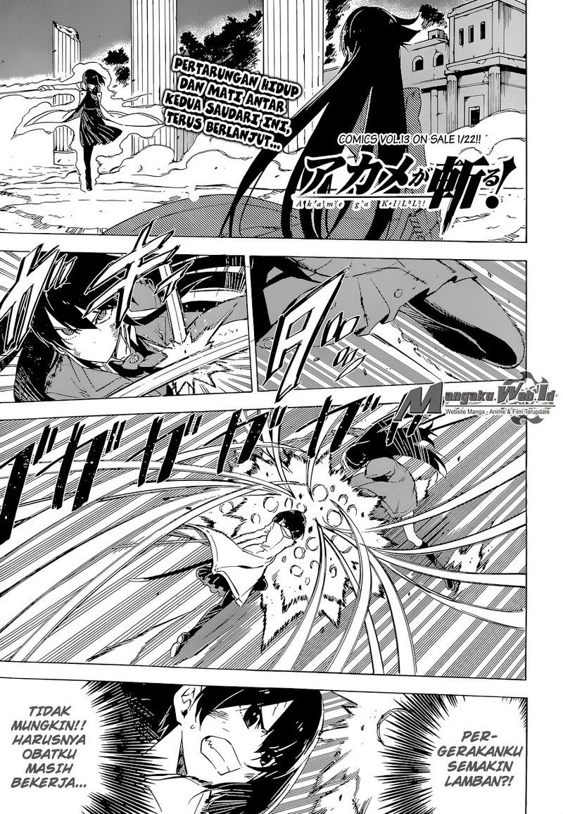 Akame ga Kill! Chapter 66 - halaman 6