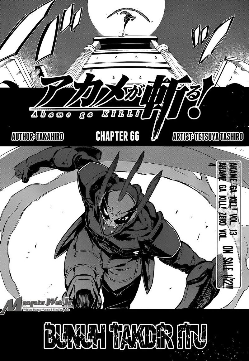 Akame ga Kill! Chapter 66 - halaman 9