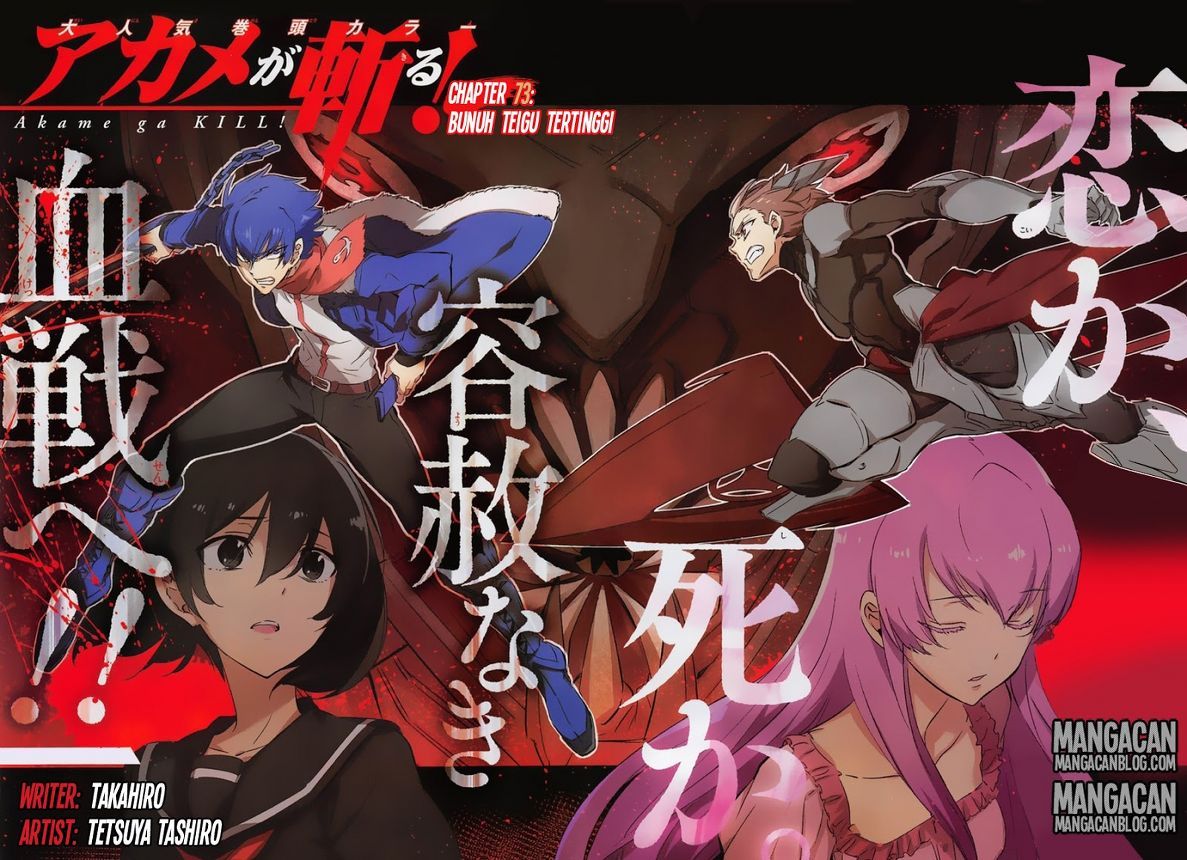 Akame ga Kill! Chapter 73 - halaman 3