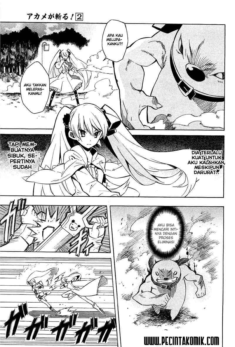 Akame ga Kill! Chapter 9 - halaman 24