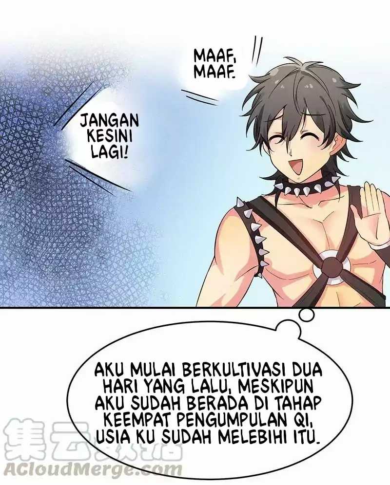All Female Cultivators Want To Sleep With Me Chapter 3 - halaman 41