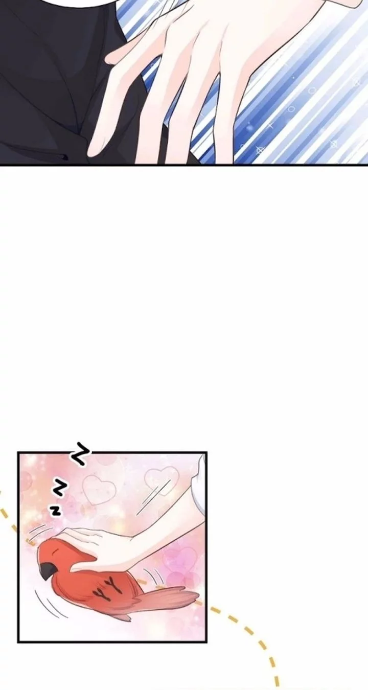 Ancestor is beautiful and elegant Chapter 37 - halaman 10