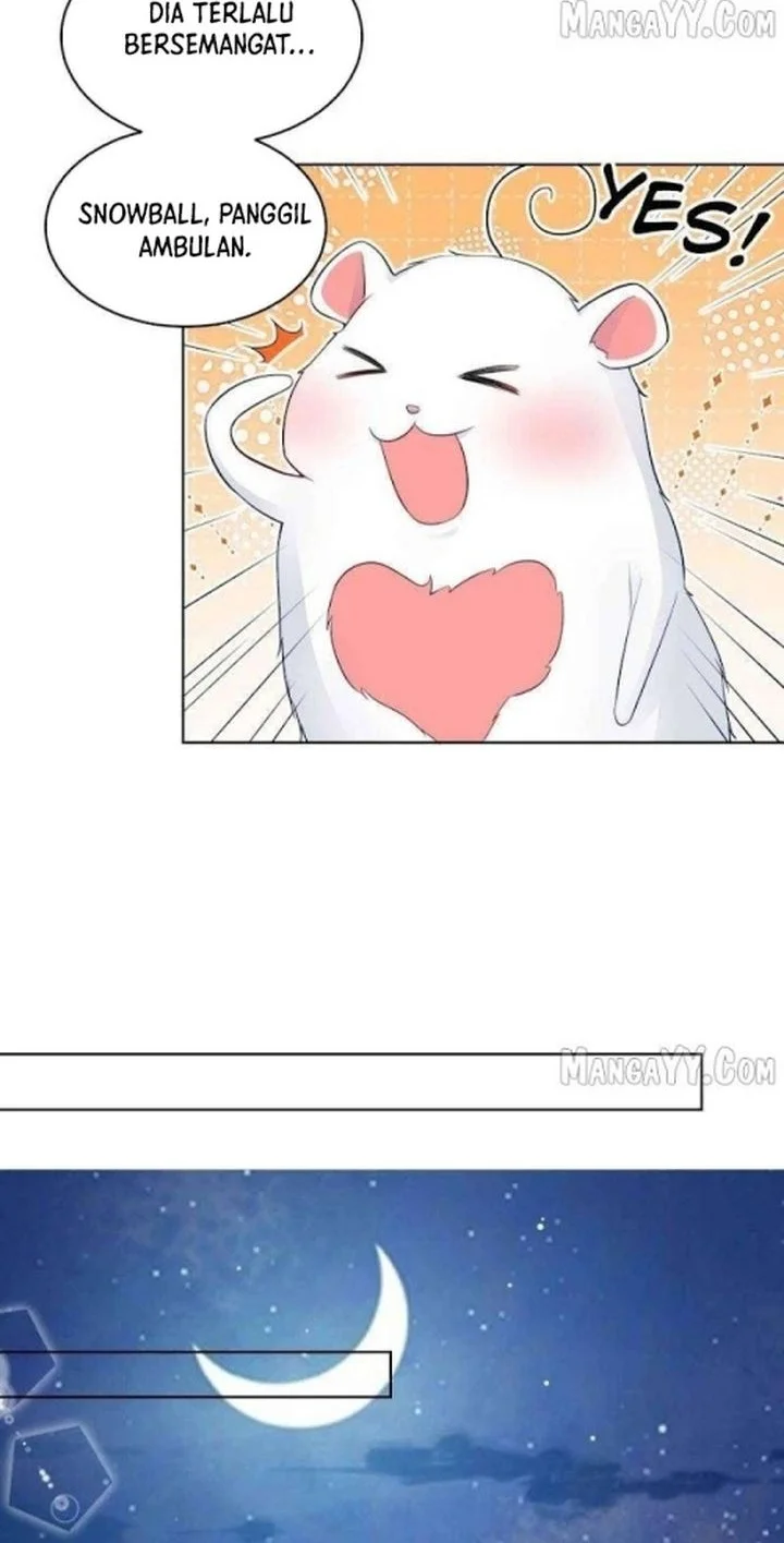 Ancestor is beautiful and elegant Chapter 56 - halaman 18