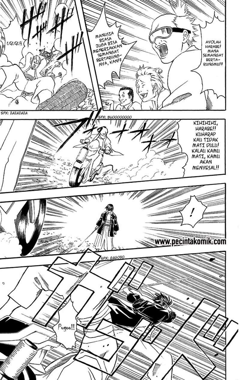 Arasa Dakedo Hatsukoi desu Chapter 22 - halaman 16