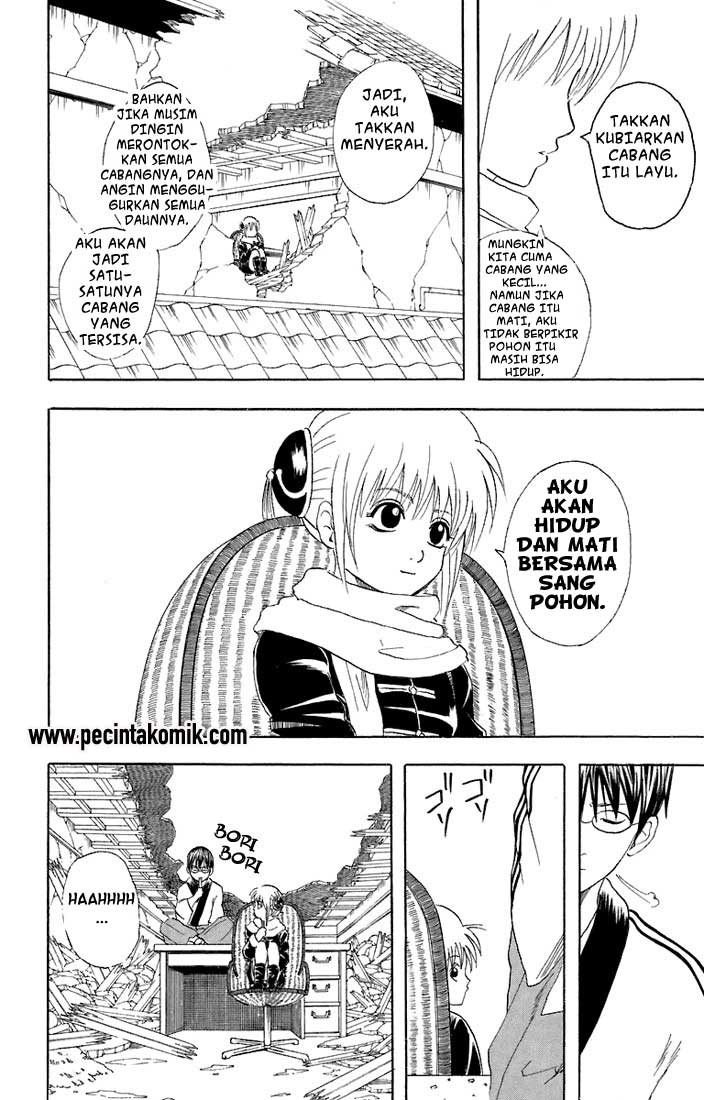 Arasa Dakedo Hatsukoi desu Chapter 37 - halaman 7