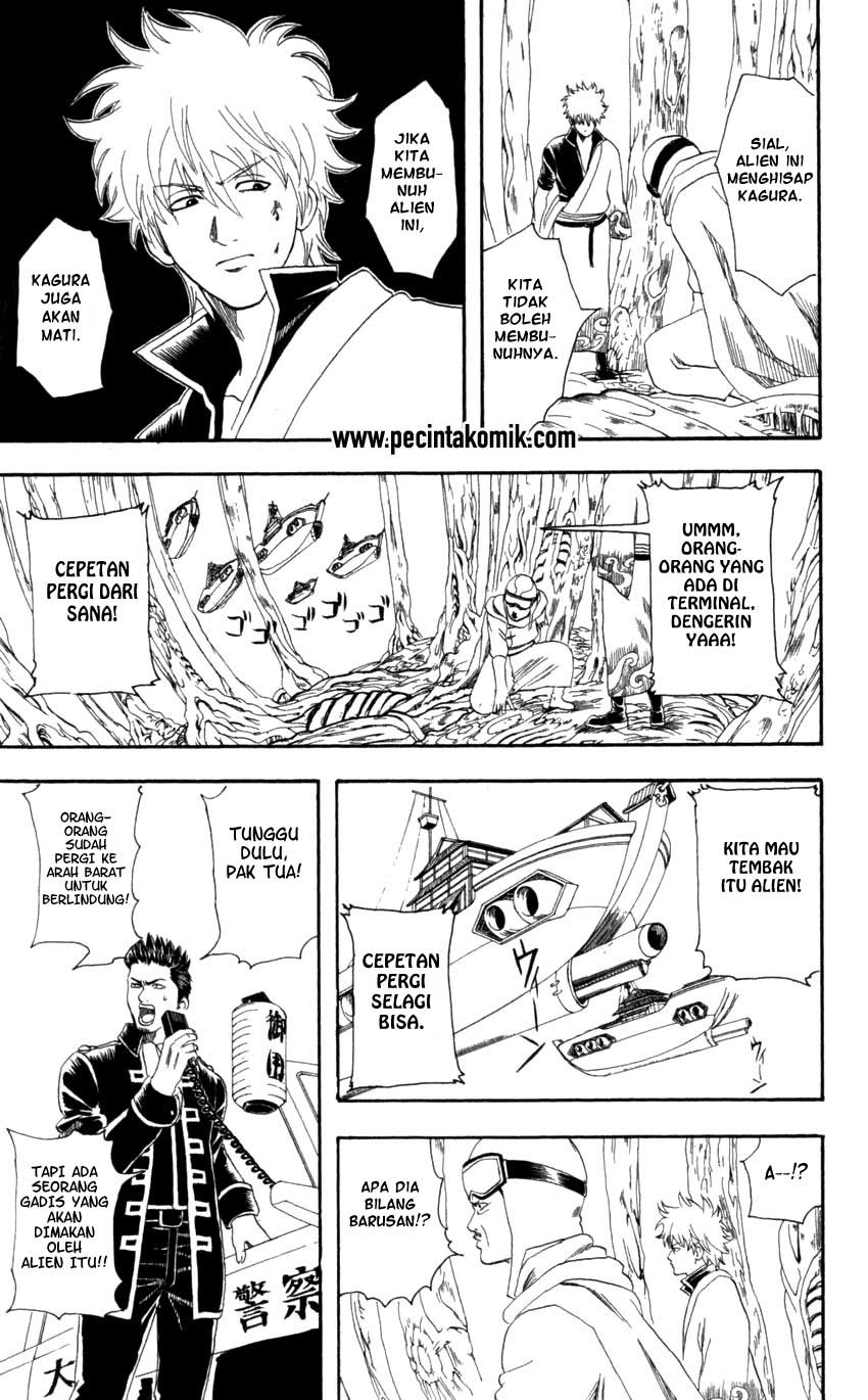 Arasa Dakedo Hatsukoi desu Chapter 47 - halaman 10