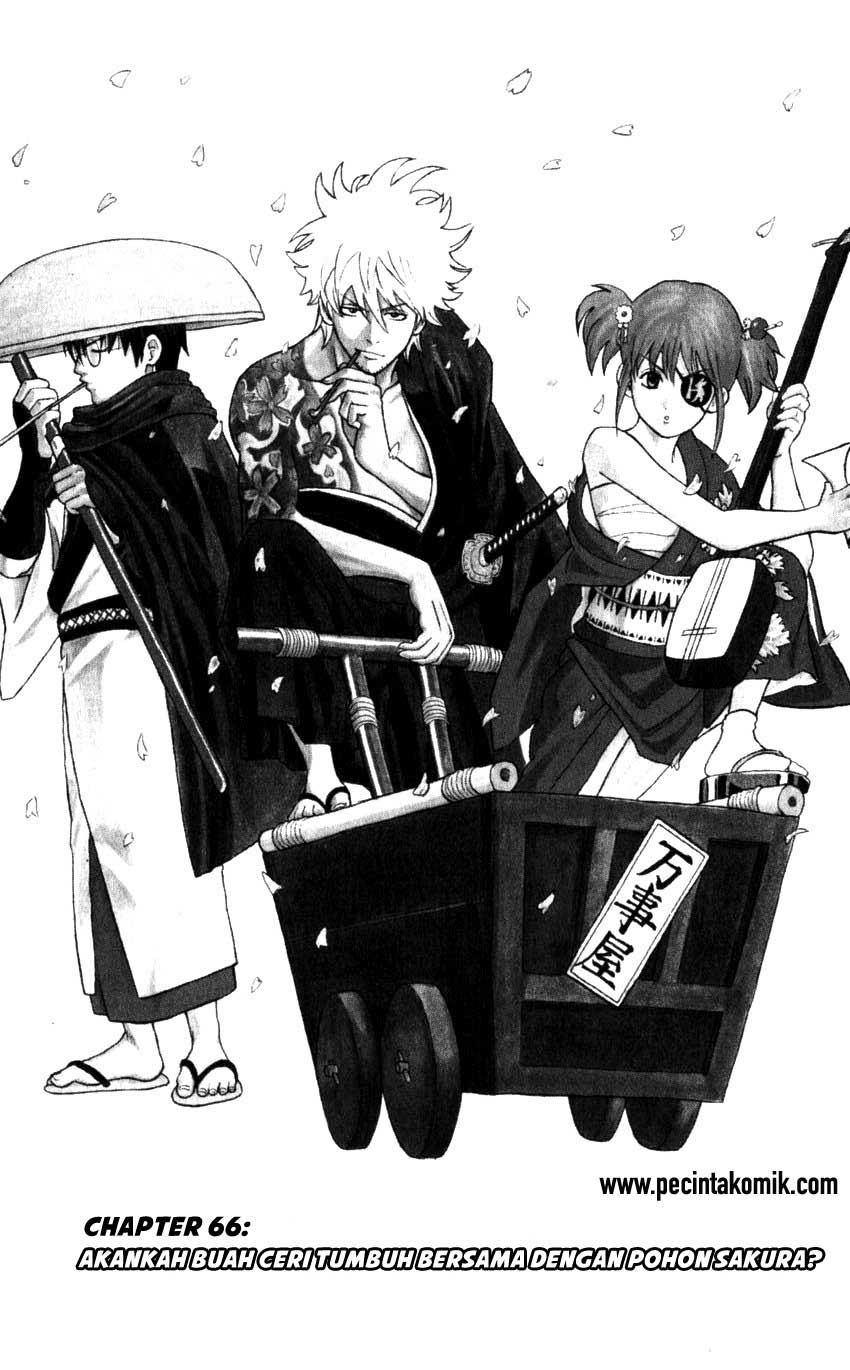 Arasa Dakedo Hatsukoi desu Chapter 49 - halaman 2