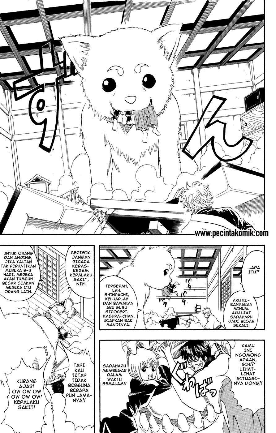 Arasa Dakedo Hatsukoi desu Chapter 51.5 - halaman 6