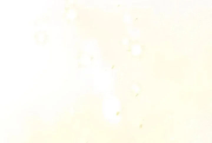 Archmage Restaurant Chapter 142 - halaman 13
