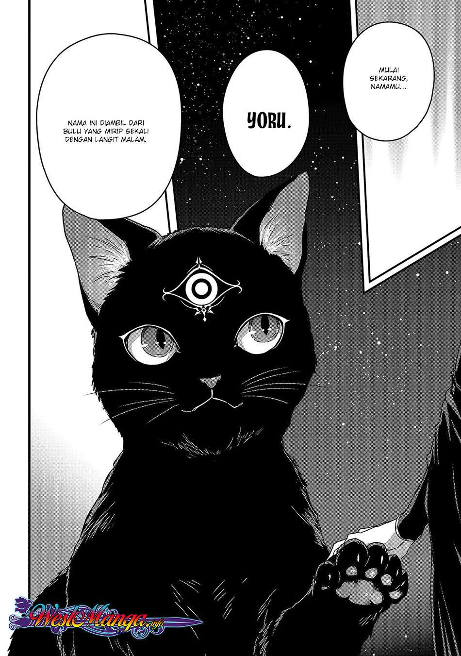 Assassin de aru ore no Sutetasu ga Yuusha yori mo Akiraka ni Tsuyoi Nodaga Chapter 11 - halaman 9