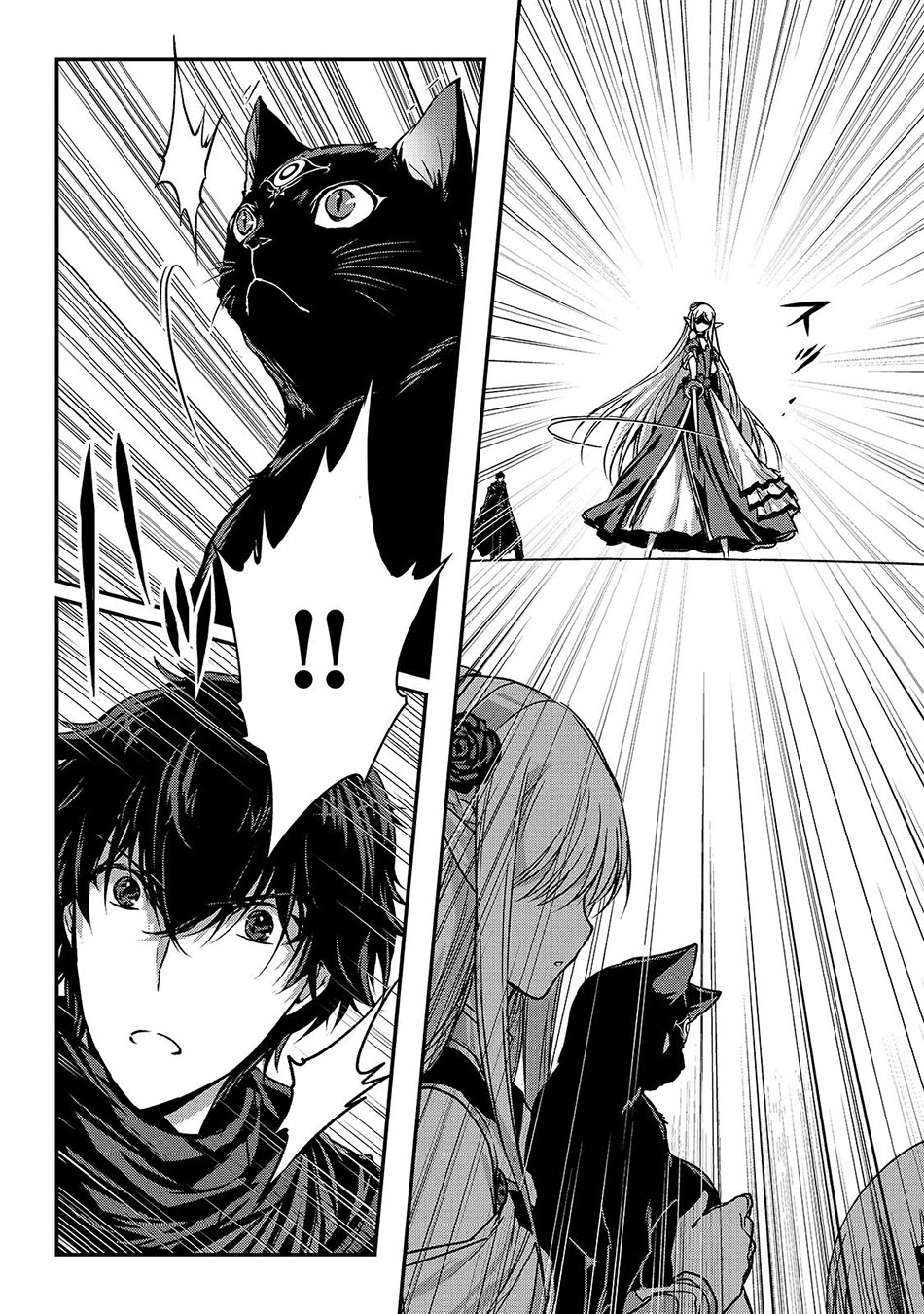 Assassin de aru ore no Sutetasu ga Yuusha yori mo Akiraka ni Tsuyoi Nodaga Chapter 16.2 - halaman 5