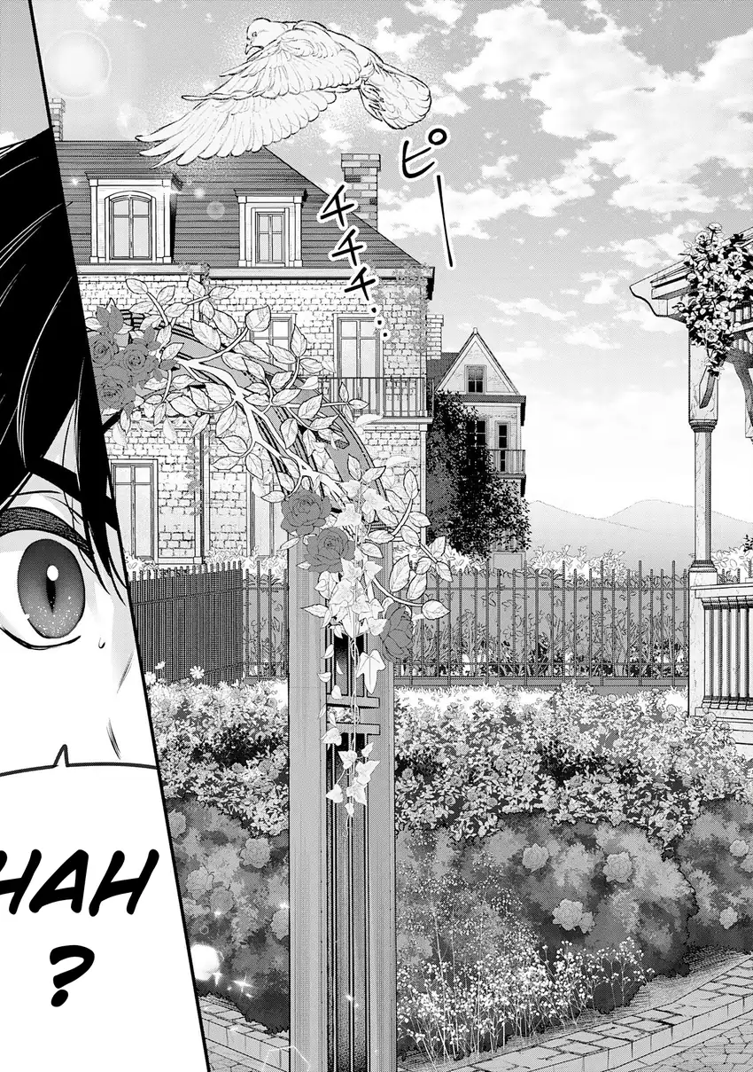 Auto Skill de Ore dake Chousoku Level Up: Megami ga Michibiku Taida na Tenseisha no Sakutto Isekai Kouryaku Chapter 1 - halaman 12