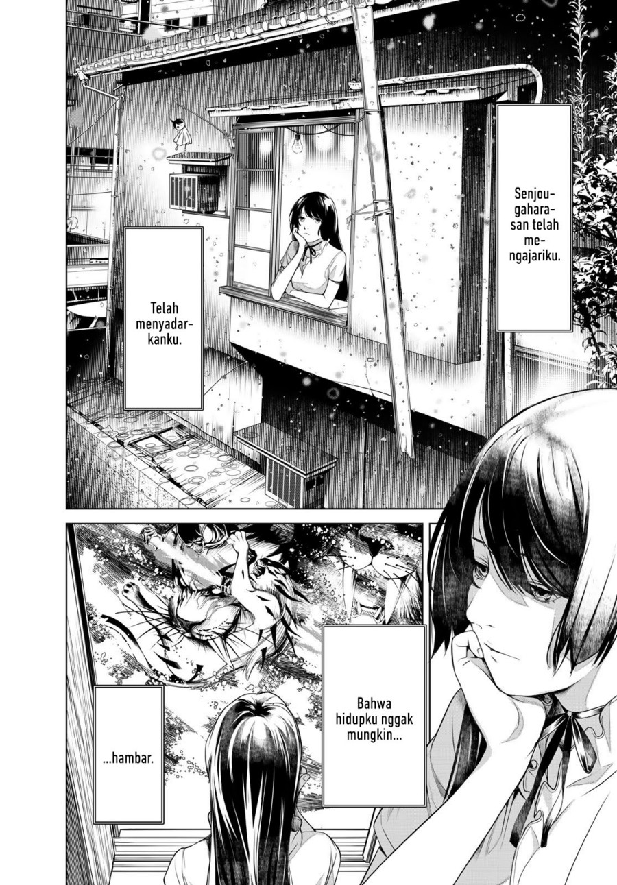Bakemonogatari Chapter 177 - halaman 5