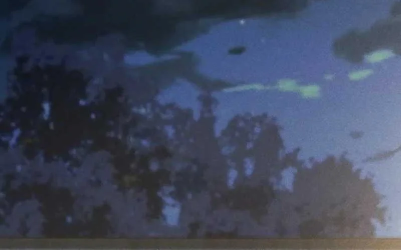 Bao Jin Wo De Xiao Majia Chapter 197 - halaman 14